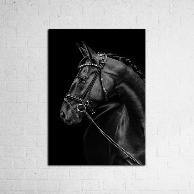 Elegant Black Stallion - Figi Home