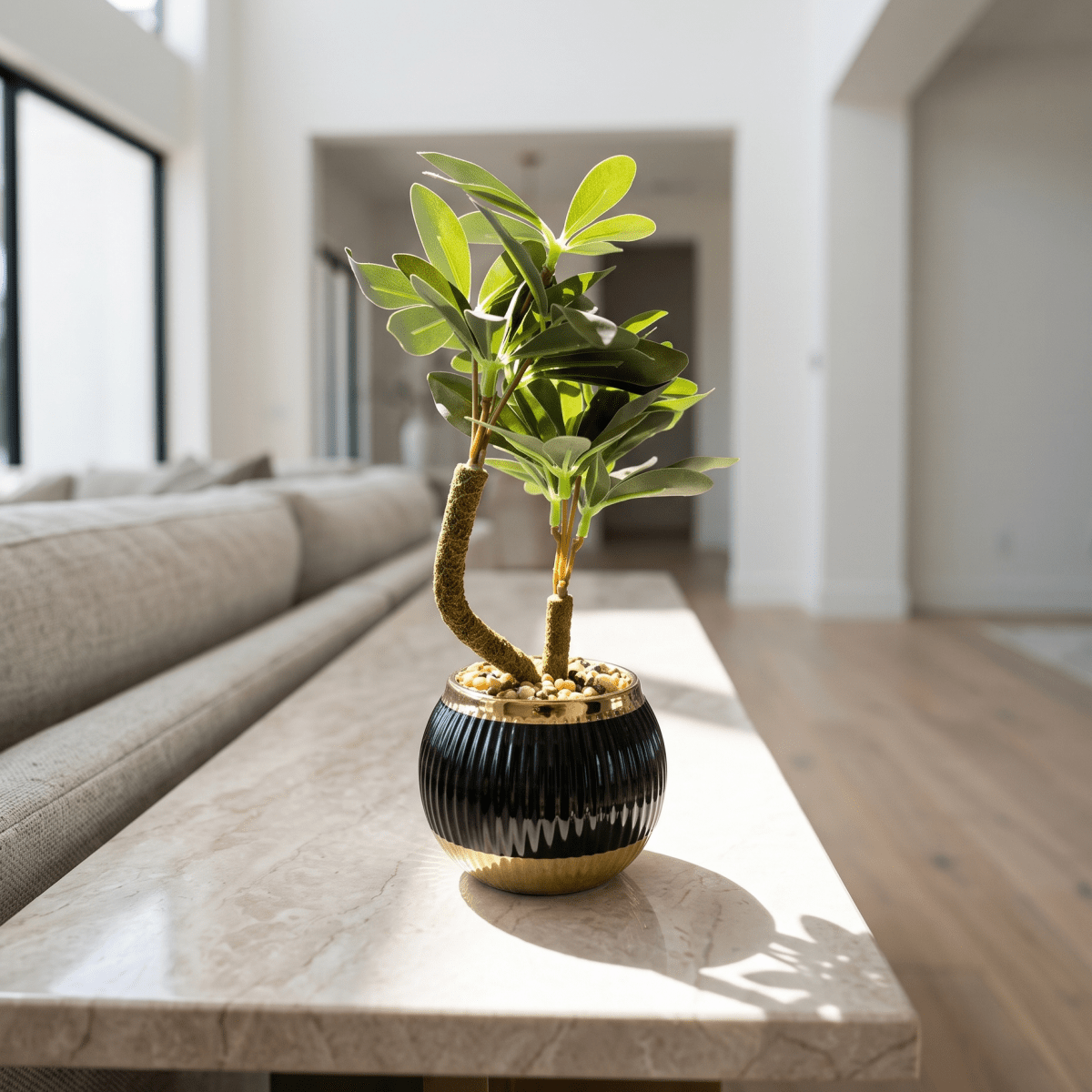 Black & Gold Mini Bonsai - Figi Home