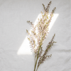 Blush Sprig Artificial Branch - Figi Home