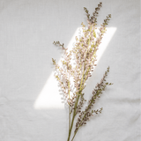 Blush Sprig Artificial Branch - Figi Home