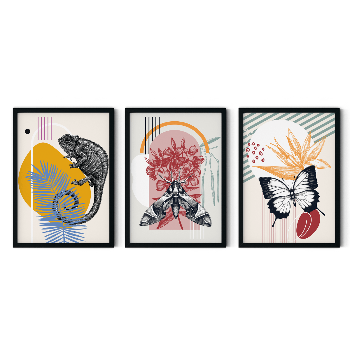 Botanical Geometry Trio - Figi Home