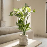 Bubble Leaf Planter - Figi Home