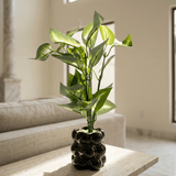 Bubble Leaf Planter - Figi Home