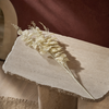 Cream Eucalyptus Stem