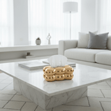 Cloud Chrome Tissue Box - Figi Home