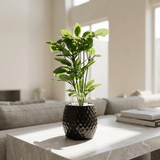 Diamond Black Mini Leaf Stem Pot - Figi Home