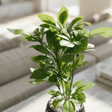 Diamond Black Mini Leaf Stem Pot - Figi Home