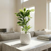 Diamond Leaf Planter - Figi Home