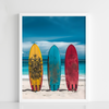 Coastal Board Trio