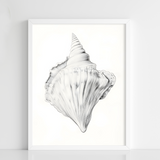 Coastal Whisper