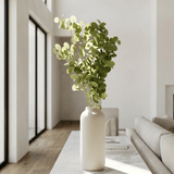 Eucalyptus Stem - Figi Home