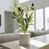 Fallen Olive Accent - Figi Home