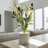 Fallen Olive Accent - Figi Home