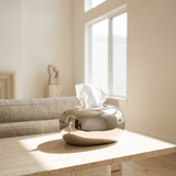Golden Tissue Box Cover - Figi Home