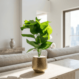 Hammered Gold Tropical Leaf Pot - Figi Home