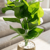 Hammered Gold Tropical Leaf Pot - Figi Home