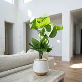 Hammered Tropical Leaf Pot - Figi Home