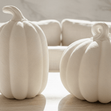 Heirloom Pumpkin Pair - Figi Home