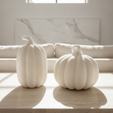 Heirloom Pumpkin Pair - Figi Home