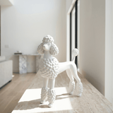 High Maintenance - Figi Home