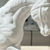 White Rearing Horse