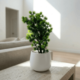 Mini Pine Bonsai Pot - Figi Home