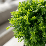 Mini Topiary Pot - Figi Home