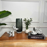 Modern Harmony Bundle - Figi Home