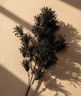 Noir Fern Stem - Figi Home