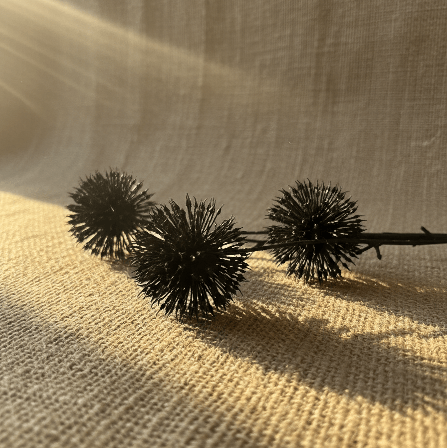 Noir Thistle Stem - Figi Home