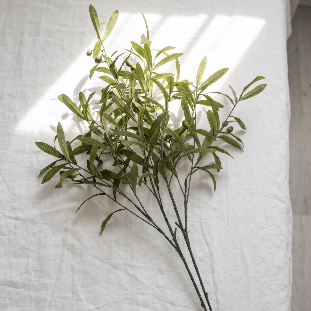 Olive Stems - Figi Home