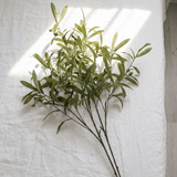 Olive Stems - Figi Home