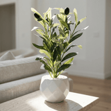 Olive Touch Planter - Figi Home