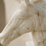 Premium Cream Marble Horse Head - Figi Home