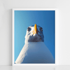 Seagull Stare - Figi Home