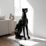 Still Hunt - Figi Home