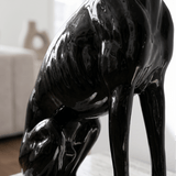 Still Hunt - Figi Home