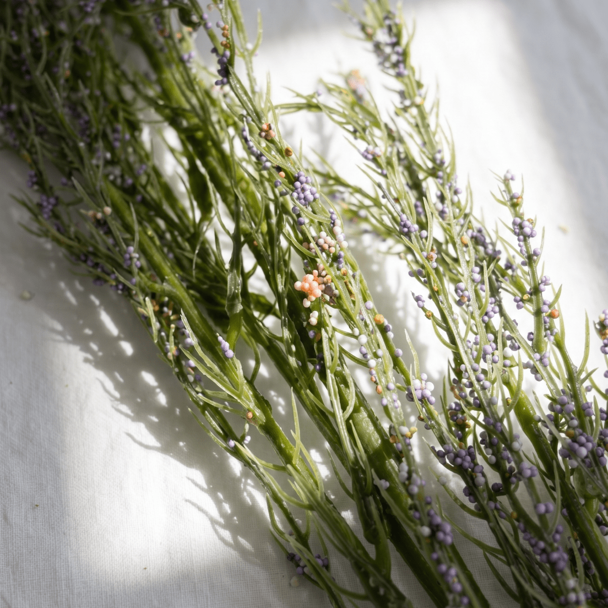 Violet Mist Artificial Branch - Figi Home