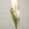 Wax Flower Stem - Figi Home