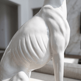 White Hunt - Figi Home