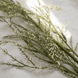 Wild Blossom Artificial Branch - Figi Home